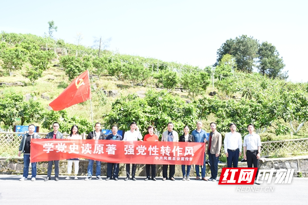 图片2.jpg 图片2.jpg