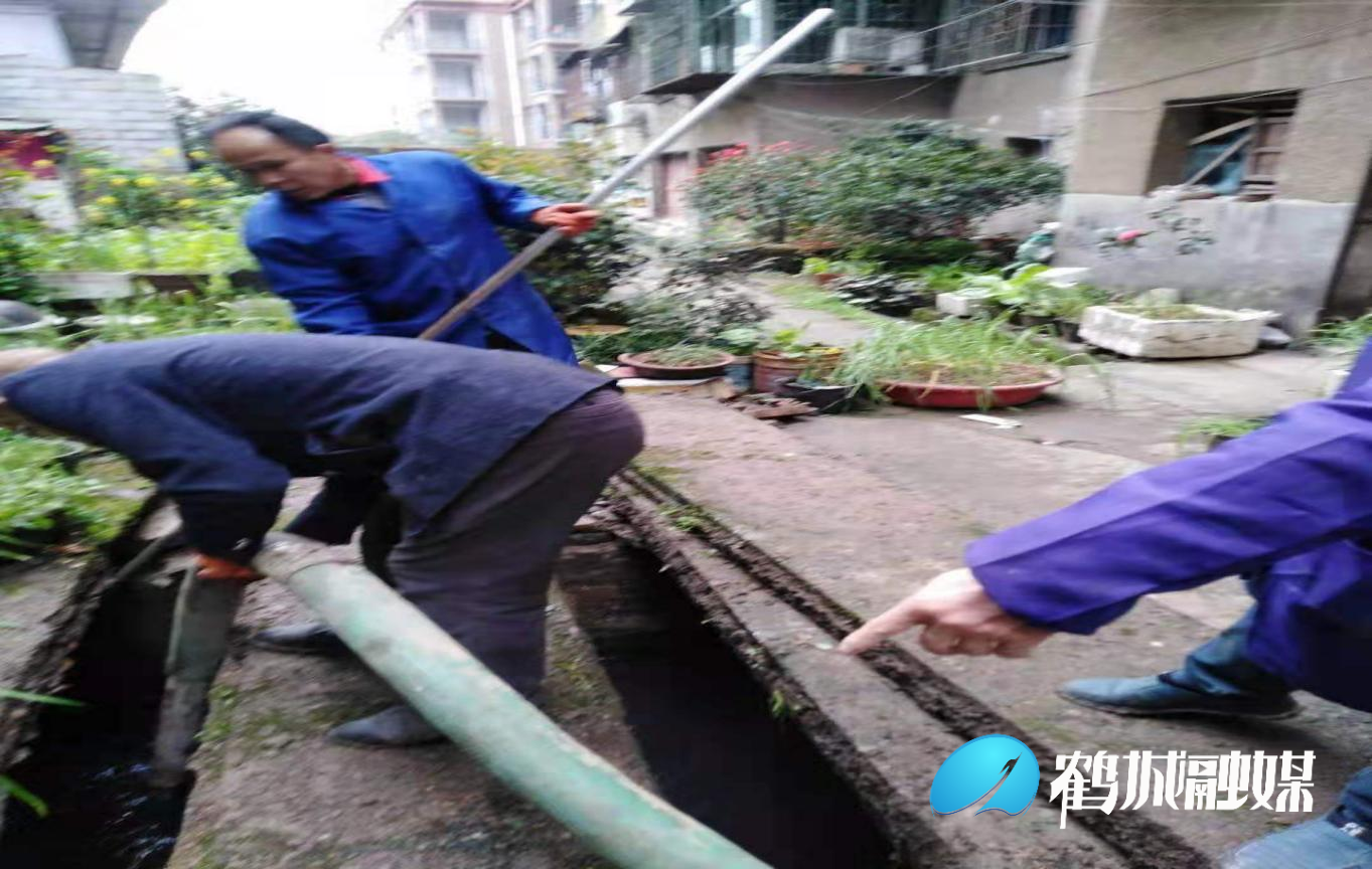 图片31.png