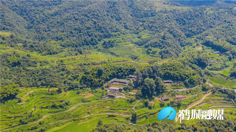 鹤城区：岩头村游客集散中心启动运营 助力乡村旅游产业发展.mp4_20210430_163621.336.jpg