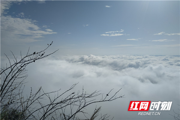 IMG_20201021_094913_副本_副本.jpg