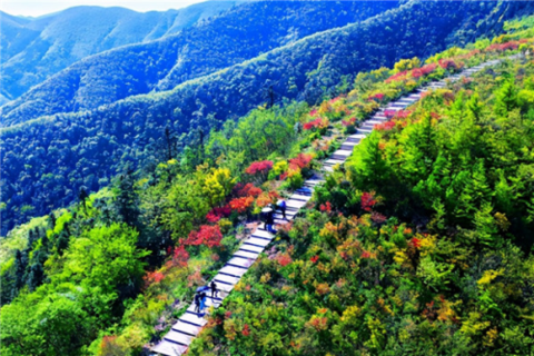 “五一”旅游持续升温  新化各景区“亮”点纷呈，喜迎八方游客“打卡”795.png