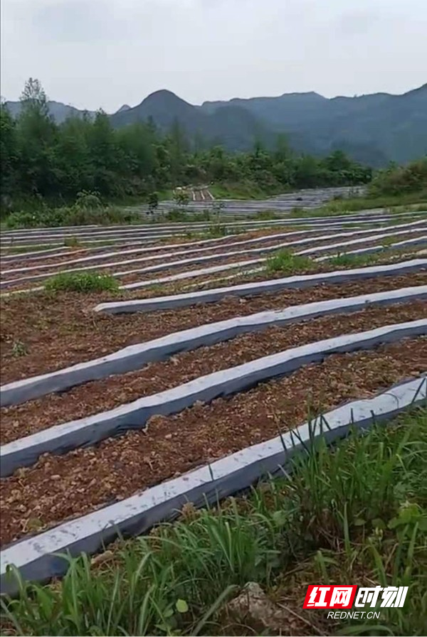 图片5.jpg