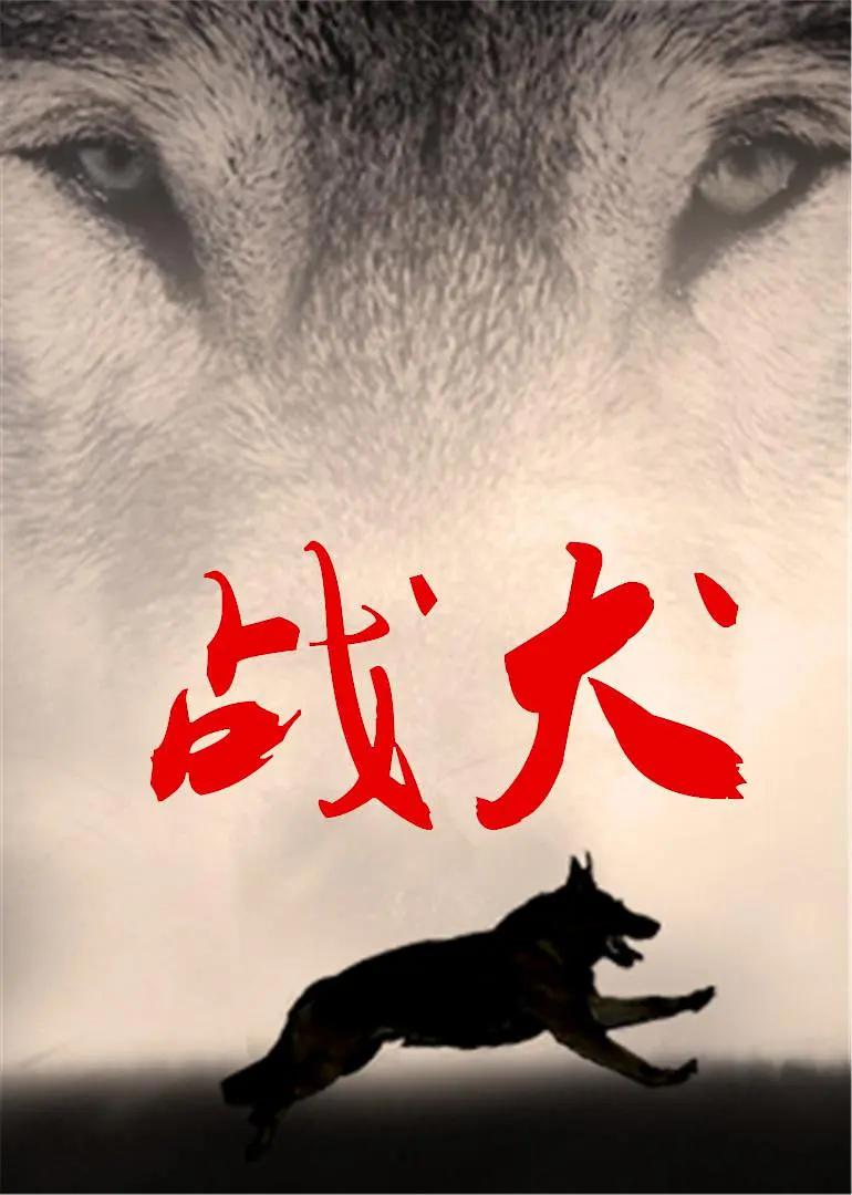 中国警犬电影图片