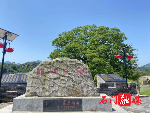 维新镇:下好“三步棋”,学党史铸魂促行696.png