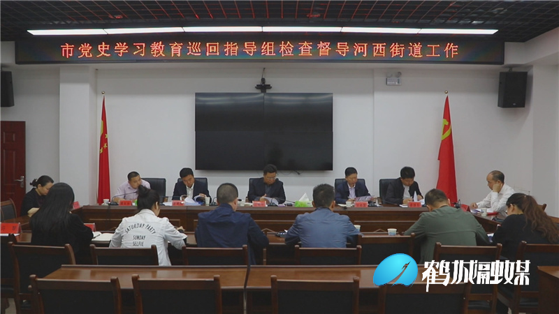 市委第三巡回指导组来鹤城区督导党史学习教育工作.mp4_20210510_165638.964.jpg