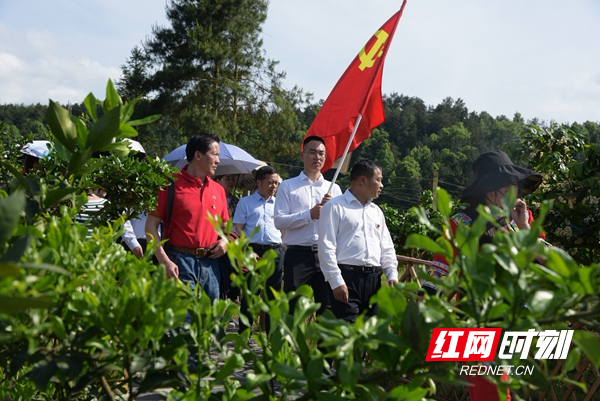 图片13.jpg