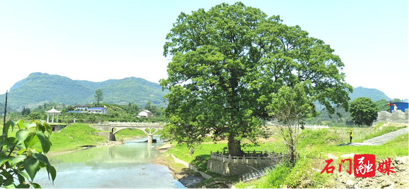 图片18.png 图片18.png