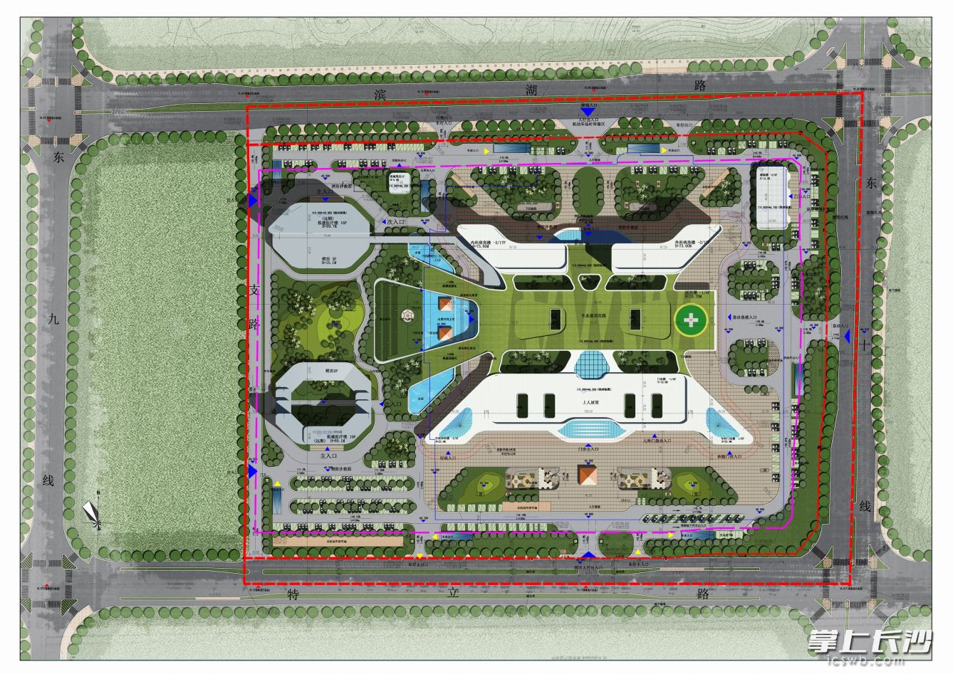 长沙县人民医院项目平面布局图。资料图片