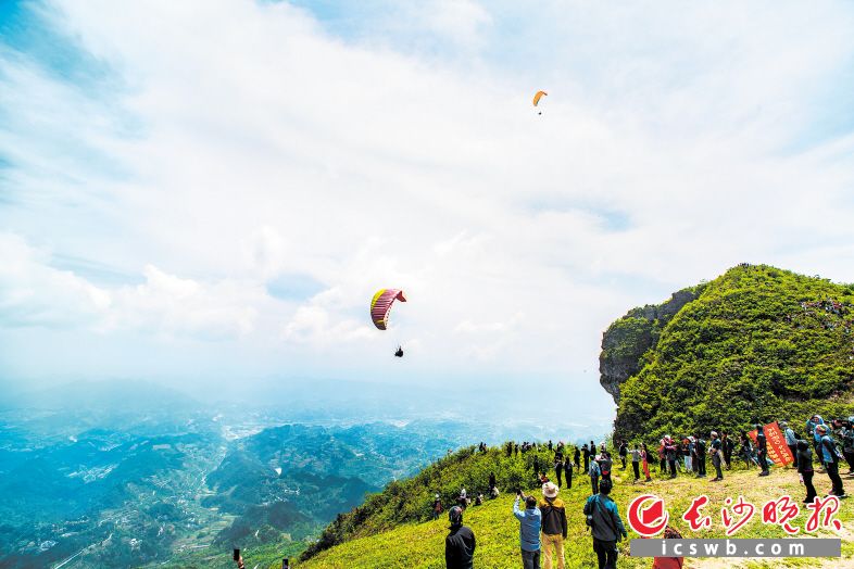 　　龙山八面山是避暑的好去处，更有滑翔伞、山地自行车等运动项目。  龙山县委宣传部供图
