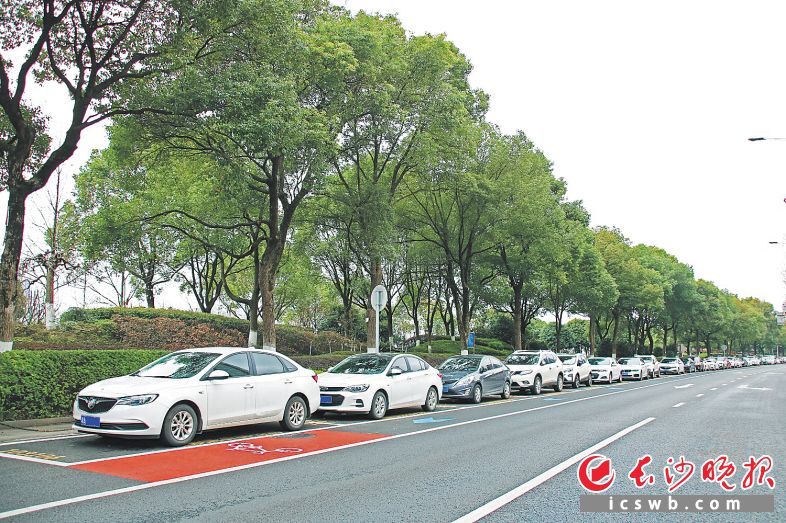 智能化运营管理后，湘江中路车辆停放井然有序，实现短停快走。