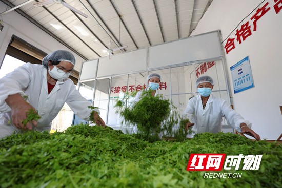 5.12图说-新.jpg