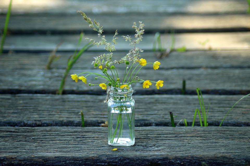 wildflowers-3437245_960_720.jpg