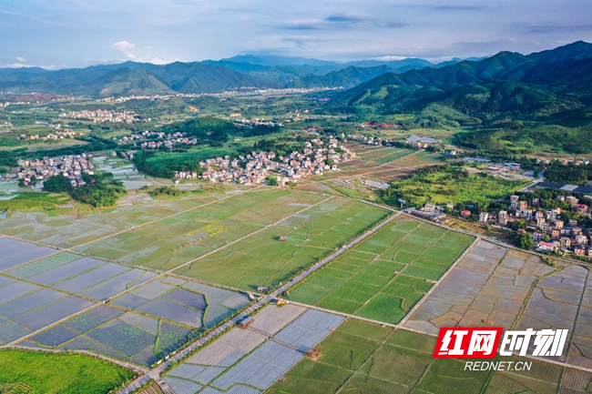 湖南蓝山：田园美 乡村兴 (7).jpg