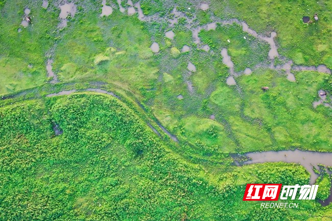 生态好 河畔美 (1).jpg