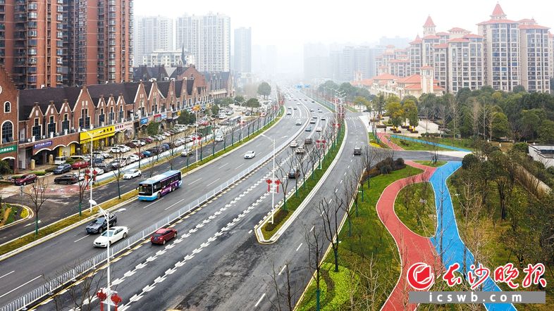 经过提质改造后的金星路变身城市“亮点”。“百日奋战  扮靓星城”市容环境整治推进下，主次干道更加清爽整洁。邹麟摄