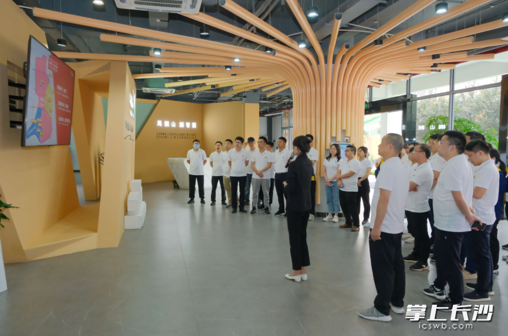省委党校第60期中青年干部培训三班开展主题党日活动，图为一行人在马栏山视频文创园聆听介绍。