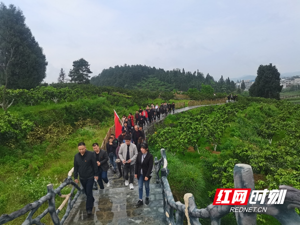 凤凰县阿拉营镇:学党史,守初心,勇担当