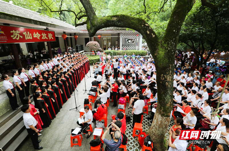 微信图片_20210516225136_副本.png