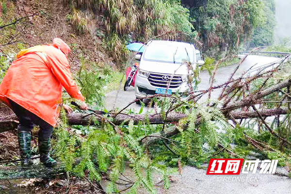 暴雨过后，桂阳县全力抢修公路塌方2万方