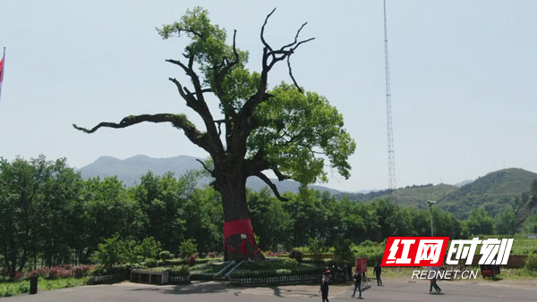 0516线上学习 线下办实事2.jpg