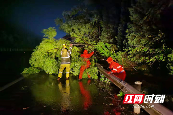 养护工人雨夜中清理倾倒的树枝。.jpg