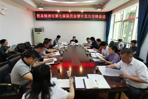 株洲民革开展中共党史学习教育活动_副本.jpg
