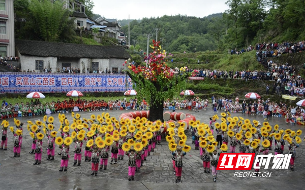 图片5.jpg