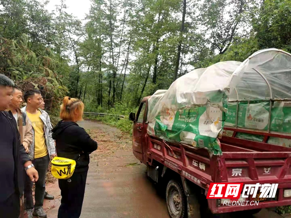 图片12.jpg