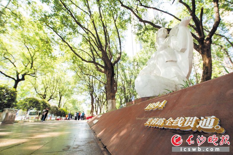 　　位于芙蓉中路的绿叶女广场提质改造后，为城市中心打造了一片舒适绿地。黄启晴 摄