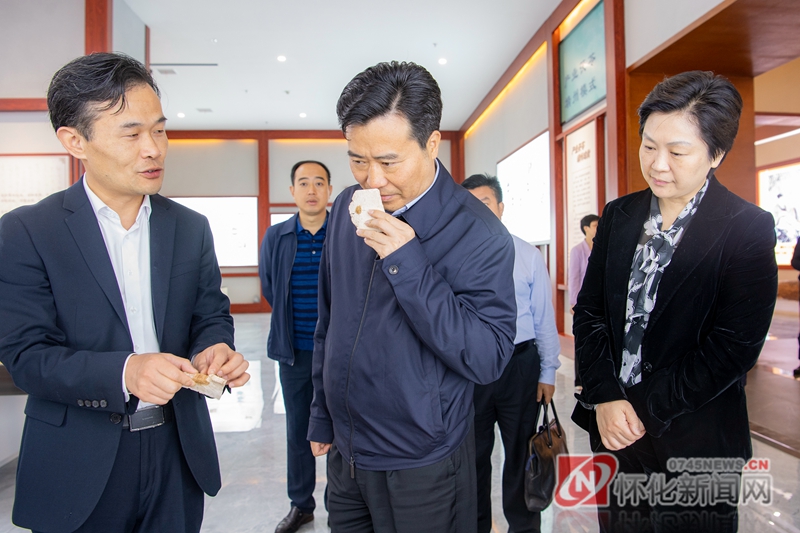 黎春秋在靖州调研