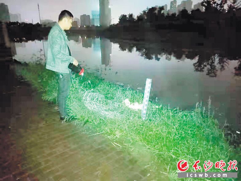雨花区启动24小时防汛值班，加大浏阳河全线、圭塘河全线的巡查力度，夜间，巡查人员仍坚守在防汛一线。长沙晚报通讯员 朱四平 摄