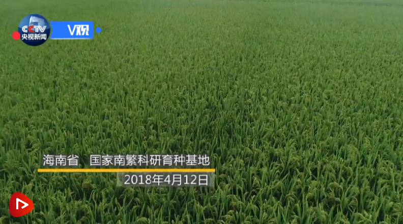 QQ截图20210524122558.png