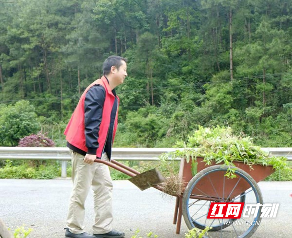 除草.jpg