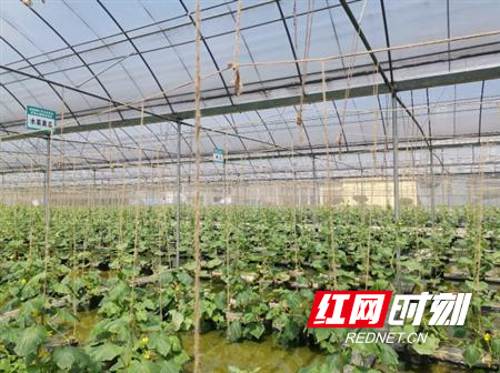 05261111.marked.png 05261111.marked.png