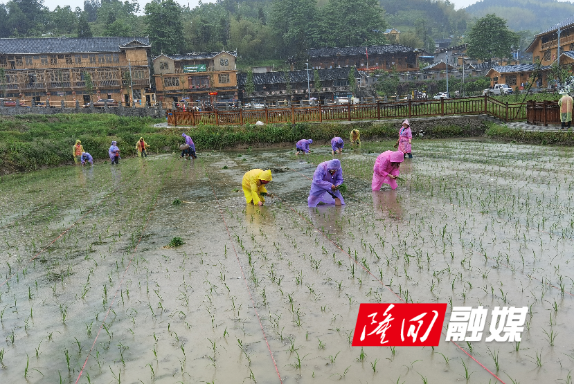 QQ图片20210528114756.png QQ图片20210528114756.png