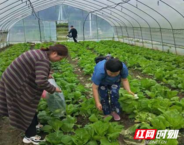 image002_副本.jpg image002_副本.jpg