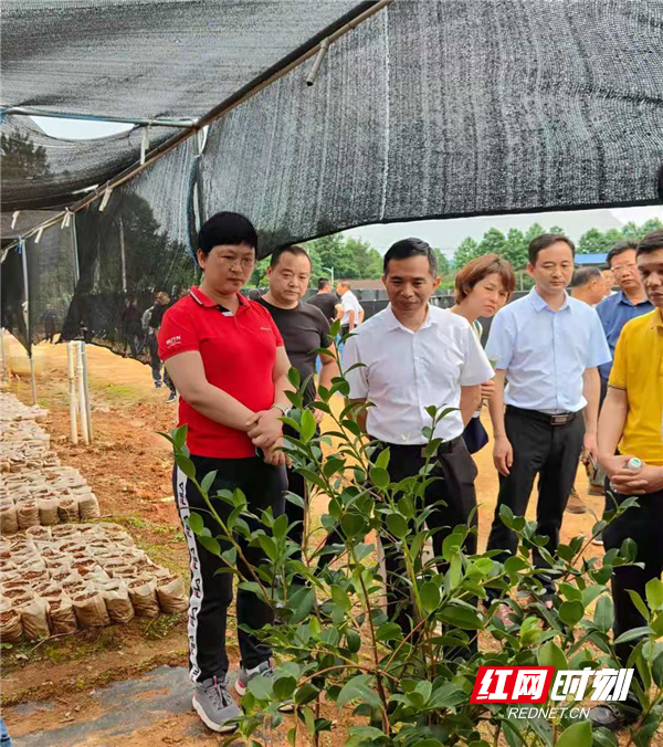 图片1_副本1.png 图片1_副本1.png