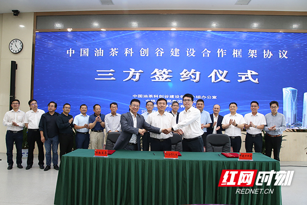 中国油茶科创谷建设合作框架协议在长沙签约