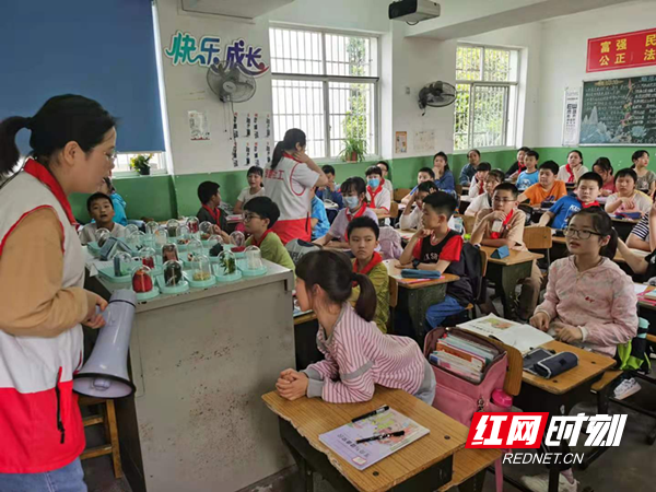 图片2_副本.png