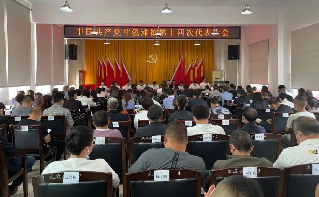 澧县圆满完成镇党委换届工作