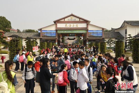 资料图:湘潭盘龙大观园花海乐园。供图 资料图:湘潭盘龙大观园花海乐园。供图