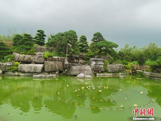 园内一景。中新网记者 李金磊 摄 园内一景。中新网记者 李金磊 摄