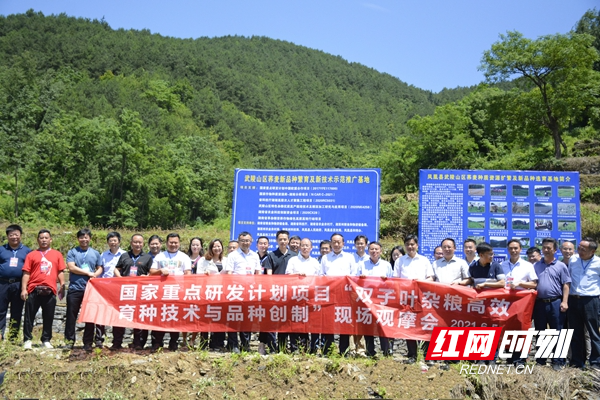 图片8.jpg