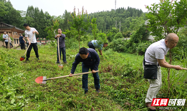 除草1.jpg