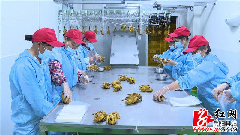 IR0_H7Y6@[M))AN}@FU(1JK.jpg IR0_H7Y6@[M))AN}@FU(1JK.jpg