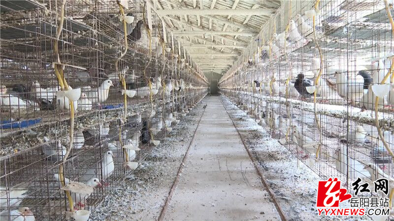 UVX@$1[R0CF3@EUEJ5WPQM2.jpg UVX@$1[R0CF3@EUEJ5WPQM2.jpg