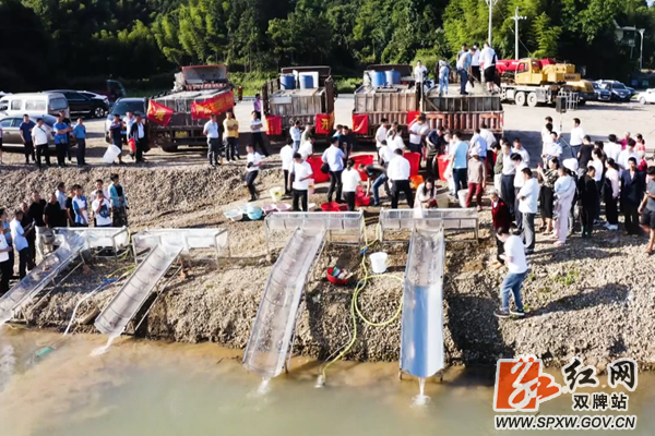 微信截图_20210607173252_副本_副本.png