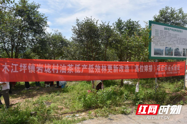 tupian42.jpg tupian42.jpg