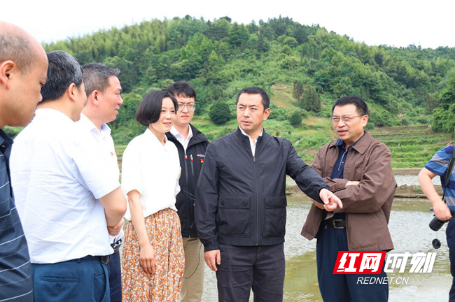 汤立斌到城步调研乡村产业发展工作_综合_邵阳站