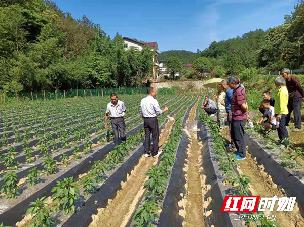 图片2_副本.png